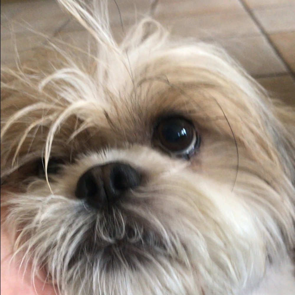 Ms. Poshista's Favorite Possession!